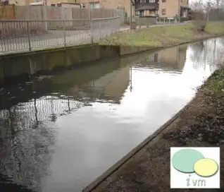 Treated areas at Belvedere Industrial Estate following successful multi-species eradication